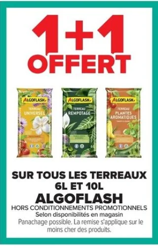 Terreaux 6L et 10L Algoflash