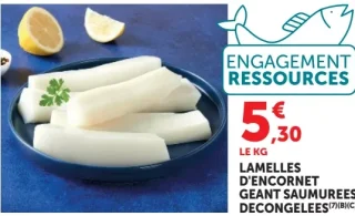 Lamelles d'encornet géant saumurées décongelées