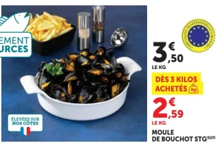 Moule de bouchot STG