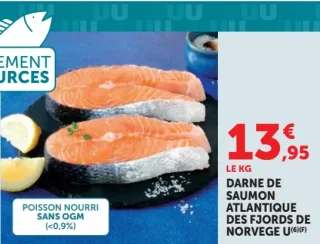 Darne de saumon Atlantique des fjords de Norvège U