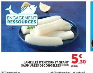 Lamelles d'encornet géant saumurées décongelées