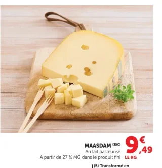 MAASDAM