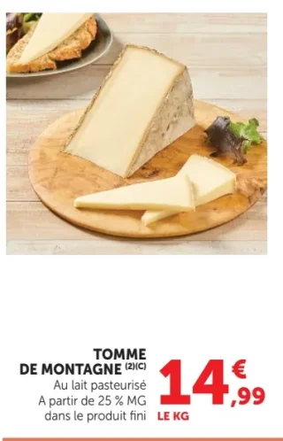 TOMME DE MONTAGNE
