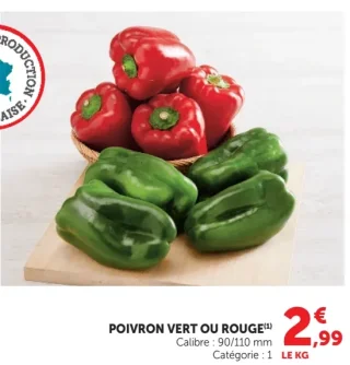 Poivron Vert ou Rouge
