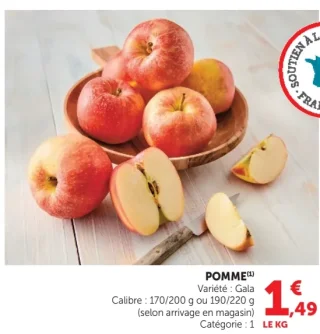Pomme Gala