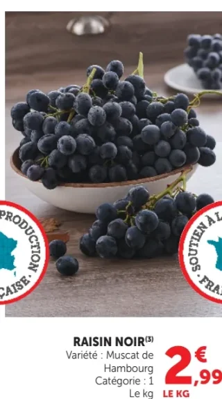 RAISIN NOIR Variété : Muscat de Hambourg