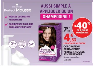 Coloration Permanente Perfect Mousse Schwarzkopf