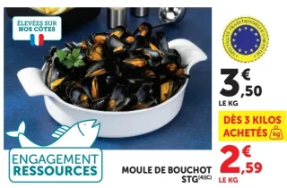 Moule de bouchot STG
