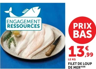 Filet de loup de mer