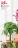 Promo Plantes vertes - Pachira