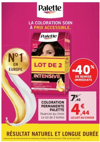 Coloration Permanente Palette Lot de 2 boîtes