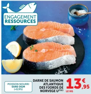 DARNE DE SAUMON ATLANTIQUE DES FJORDS DE NORVEGE U