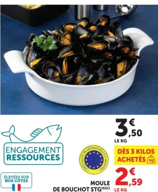 Moule de bouchot STG