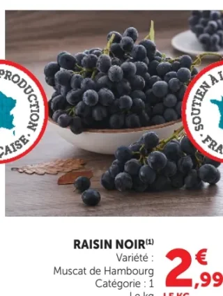 Raisin Noir Muscat de Hambourg