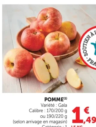 Pomme Gala