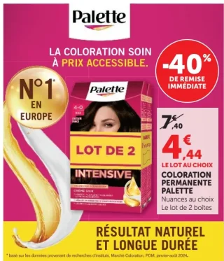 Coloration Permanente Palette Lot de 2