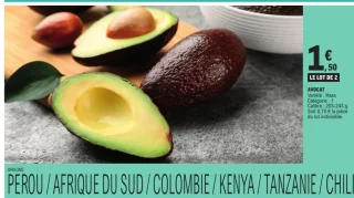 Avocat Haas