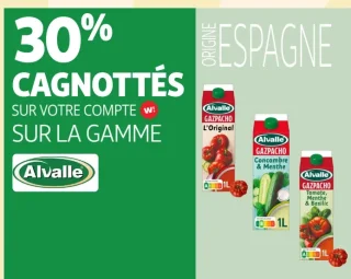 Gazpacho Alvalle
