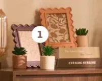 PLANTE ARTIFICIELLE ACTUEL