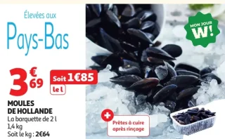 Moules de Hollande