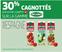 Gazpacho Alvalle