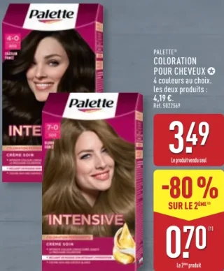 PALETTE COLORATION POUR CHEVEUX