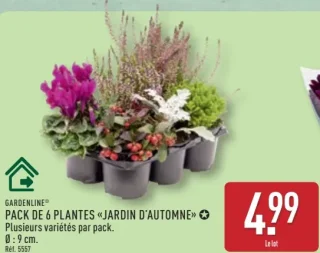 GARDENLINE® PACK DE 6 PLANTES «JARDIN D'AUTOMNE»