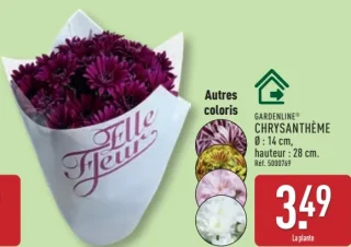 GARDENLINE® CHRYSANTHÈME