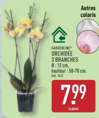 GARDENLINE® ORCHIDÉE 3 BRANCHES