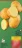Promo Pommes de terre de consommation