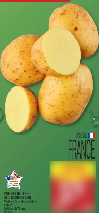 Pommes de terre de consommation