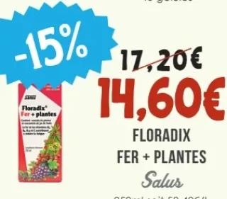Floradix Fer + Plantes Salus