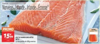 Filet de saumon sans arêtes