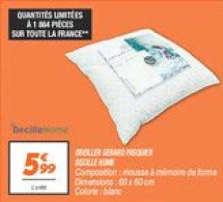 Oreiller gerard pasquier 
