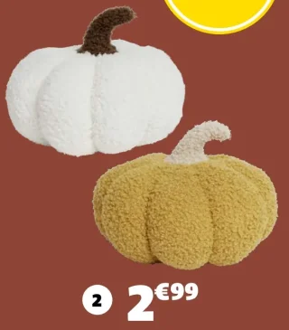 COUSSIN CITROUILLE