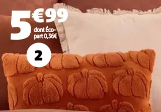 Coussin 30x50cm 100% polyester GiFi