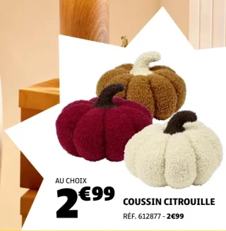 Coussin Citrouille GiFi