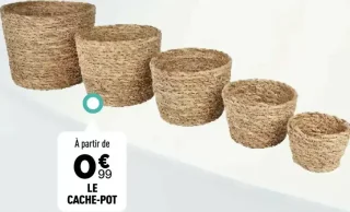 Le Cache-pot