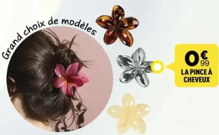 La pince à cheveux