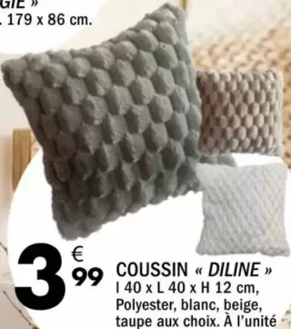 Coussin « DILINE »