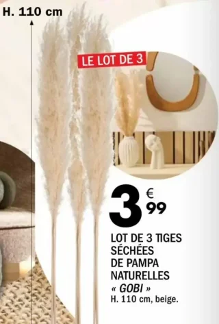 Lot de 3 tiges séchées de pampa naturelles « Gobi »