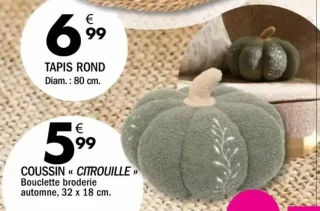 Coussin « Citrouille » Bouclette broderie automne
