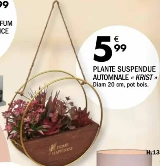 Plante suspendue automnale « KRIST »