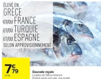Daurade royale