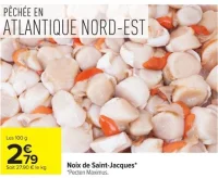Noix de Sain-Jacques