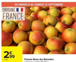 Pomme Reine des Reinettes