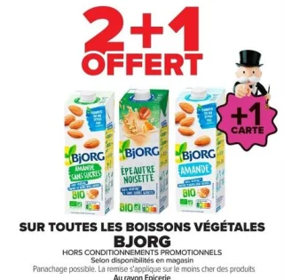 Boissons végétales BJORG