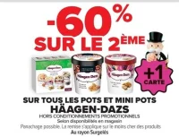 Pots et mini pots Häagen-Dazs