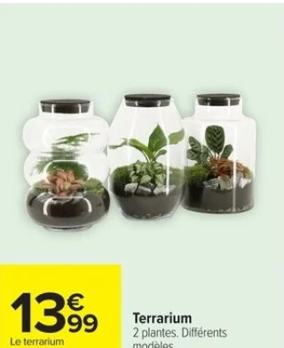 Terrarium