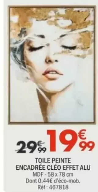 Toile Peinte Encadrée Cléo Effet Alu